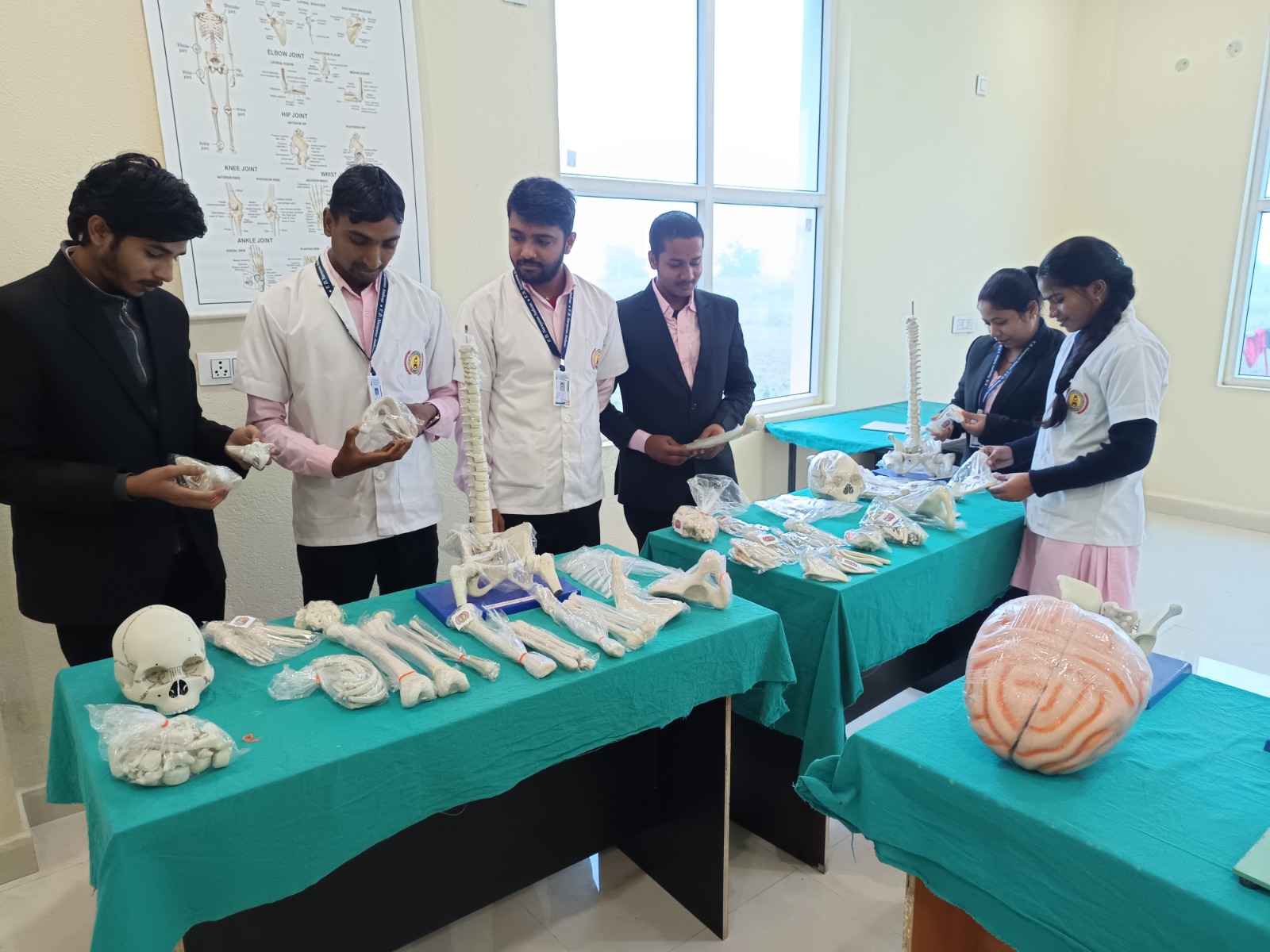 Nursing Labs
